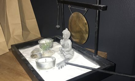 Le miroir de l’art – Le salon de coiffure ouvre son salon esthétique